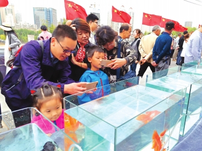 長假期間，有趣的活動吸引了市民圍觀